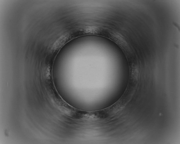 X0000103470502200809121631