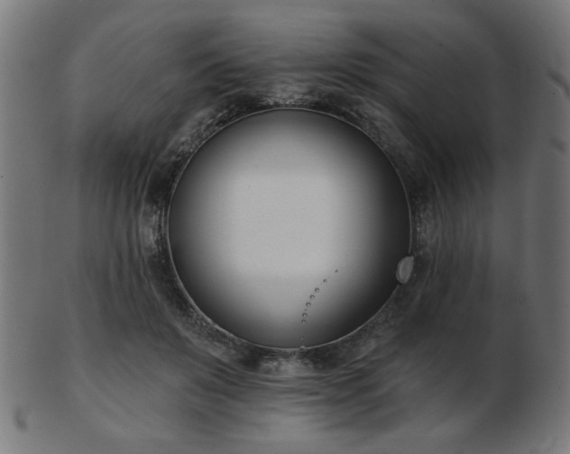 X0000103470503200809121631