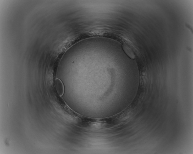 X0000103470504200809121631