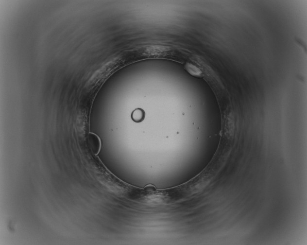 X0000103470505200809121631