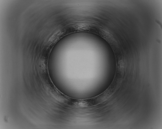 X0000103470506200809121631