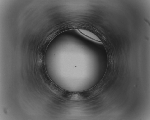 X0000103470507200809121631