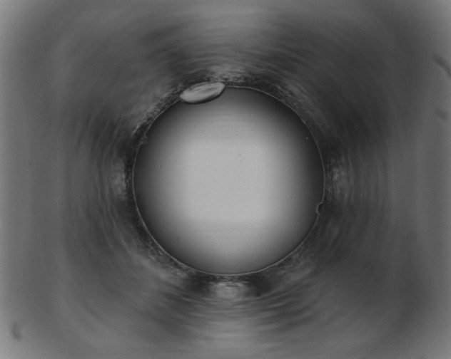 X0000103470508200809121631