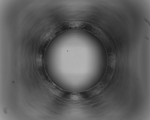 X0000103470510200809121631