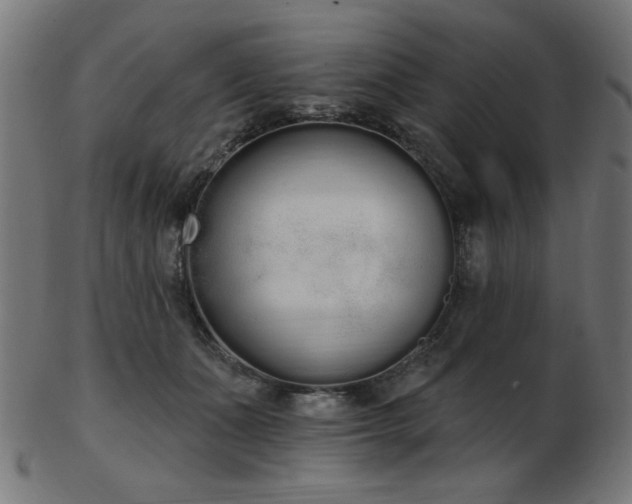 X0000103470511200809121631