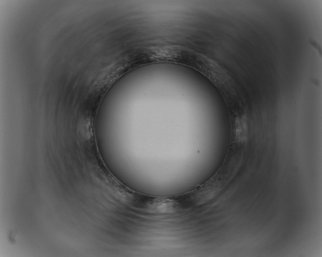 X0000103470514200809121631