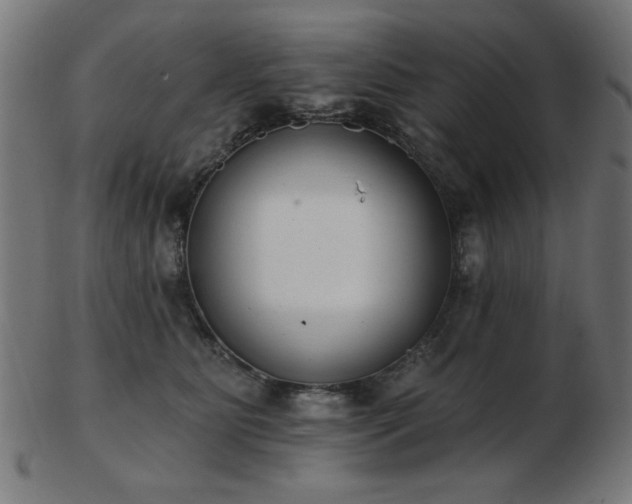 X0000103470515200809121631