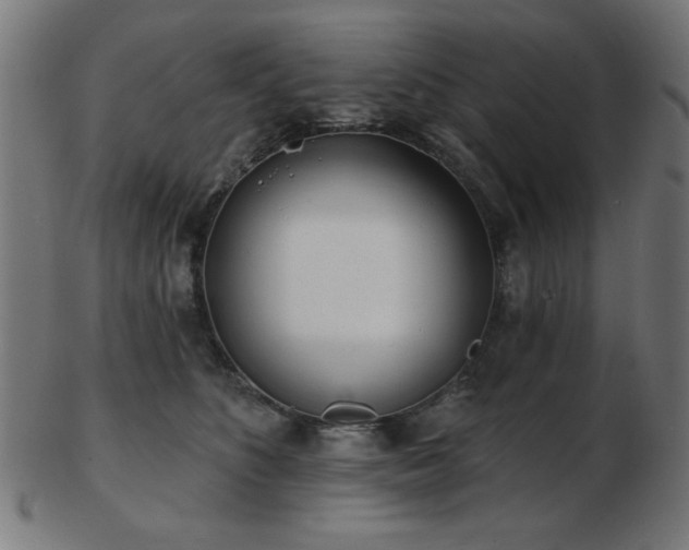 X0000103470516200809121631