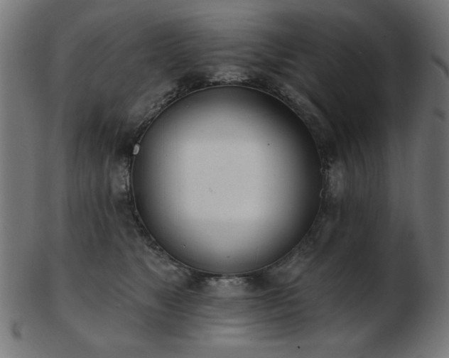 X0000103470517200809121631