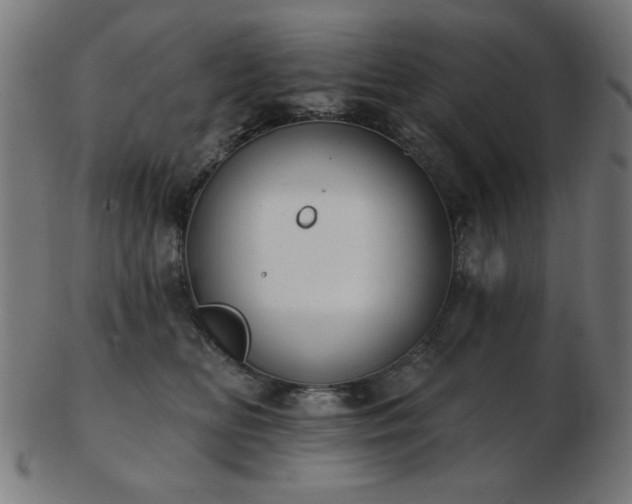 X0000103470518200809121631