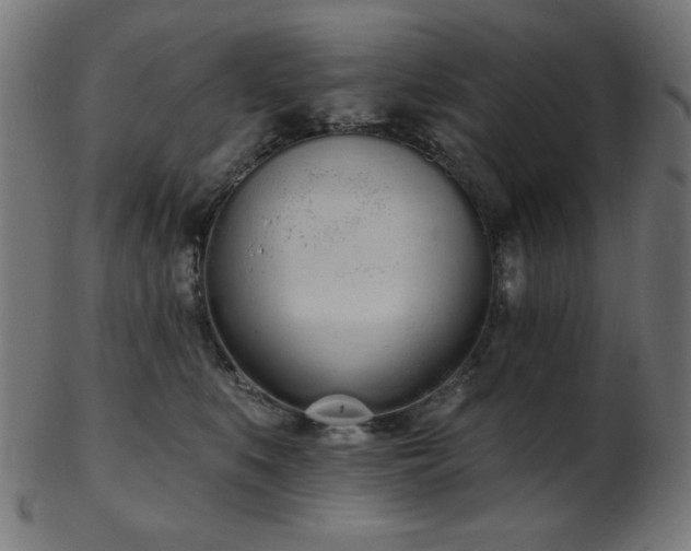 X0000103470519200809121631