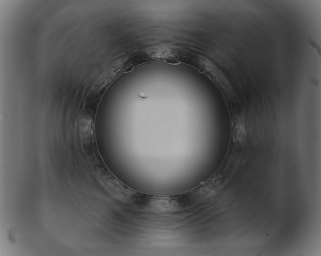 X0000103470521200809121631