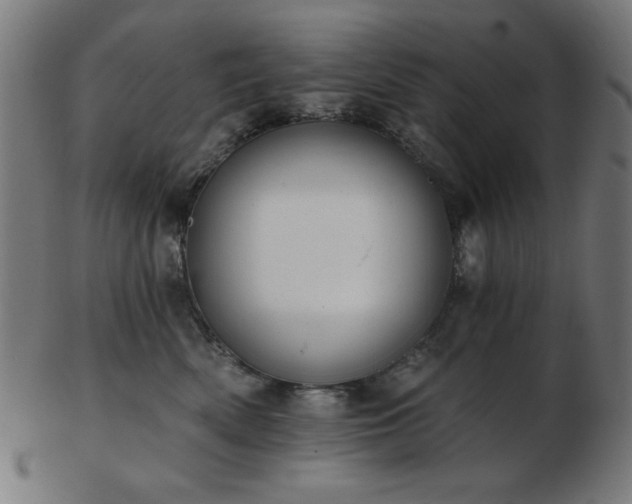 X0000103470522200809121631