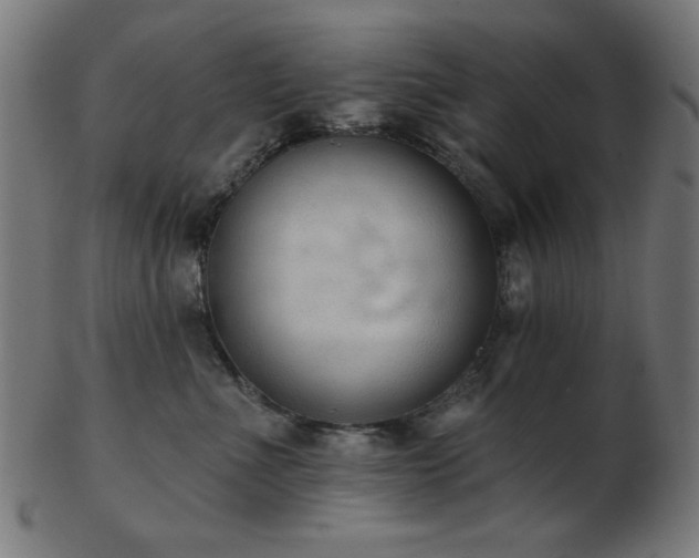 X0000103470523200809121631