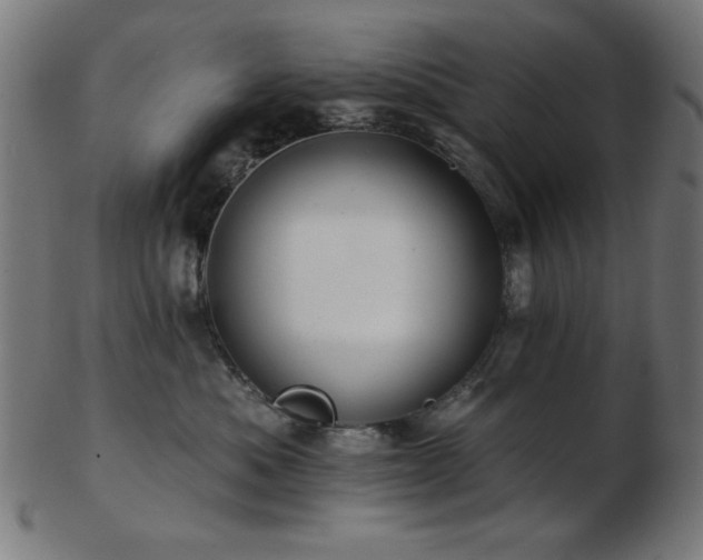 X0000103470525200809121631