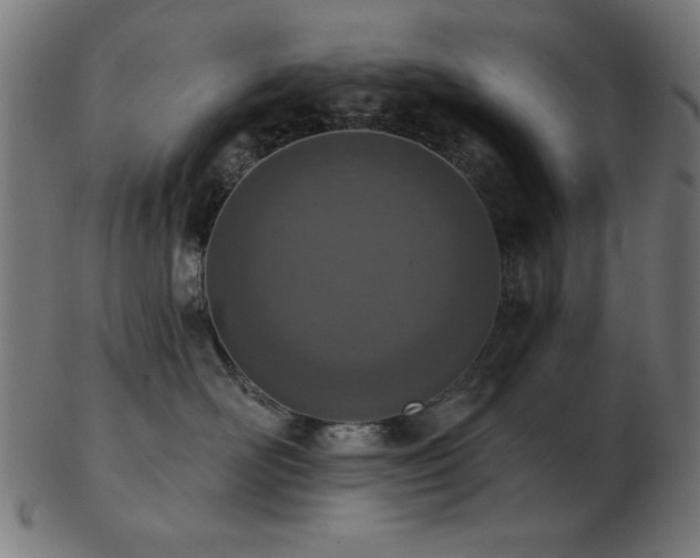 X0000103470526200809121631