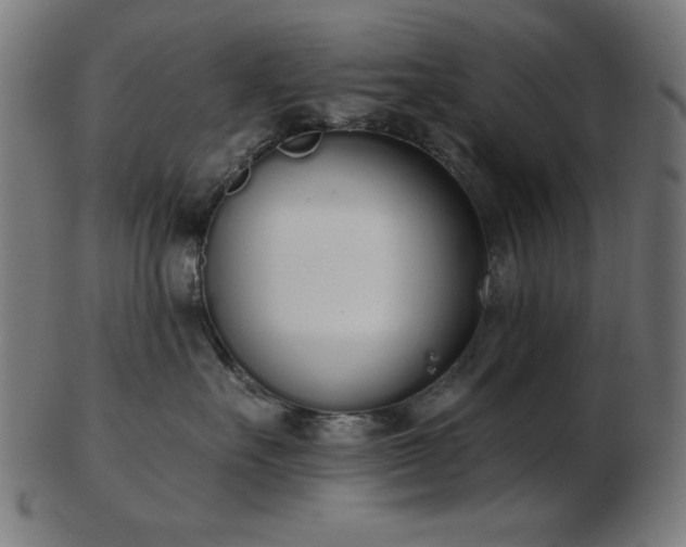 X0000103470527200809121631