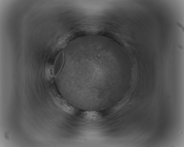 X0000103470528200809121631