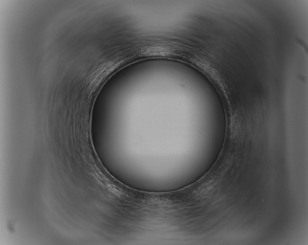 X0000103470529200809121630