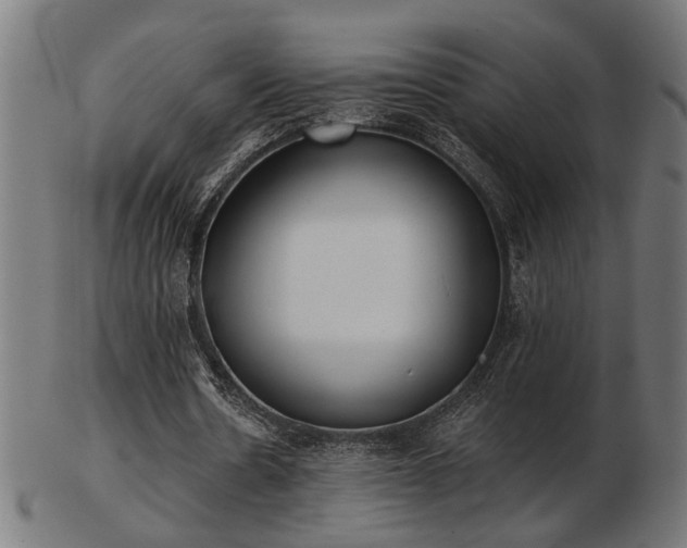 X0000103470530200809121630