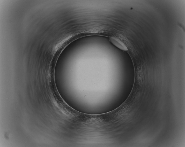 X0000103470536200809121630