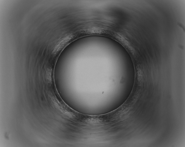 X0000103470537200809121630