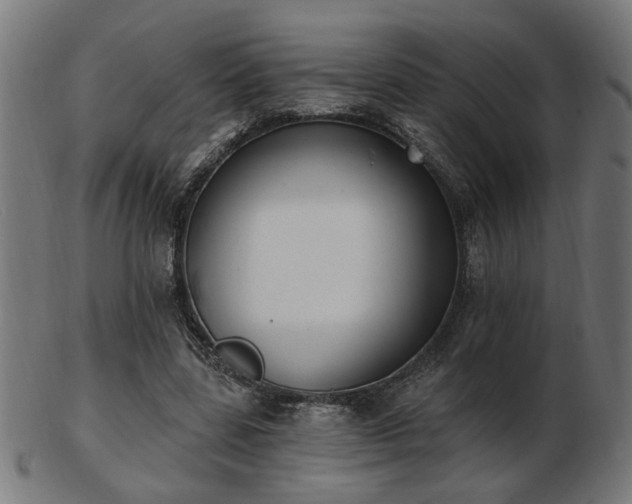 X0000103470539200809121630