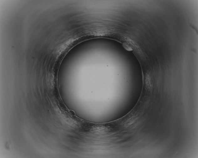 X0000103470540200809121630