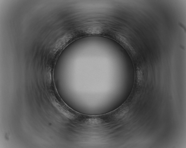 X0000103470541200809121630