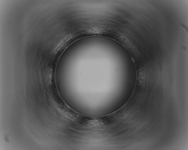 X0000103470544200809121630