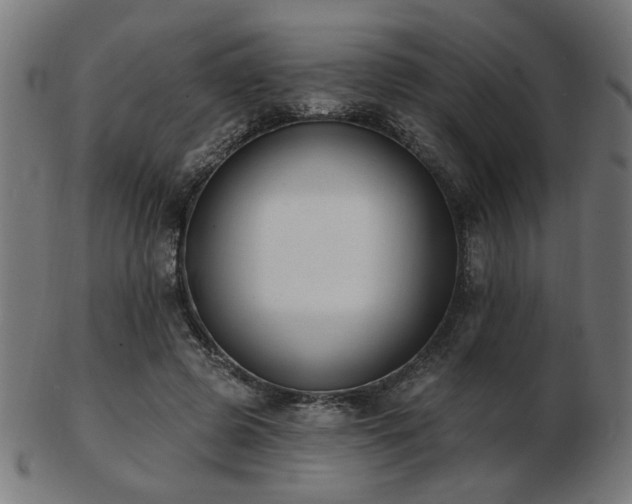 X0000103470545200809121630