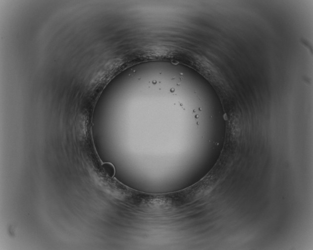 X0000103470546200809121630