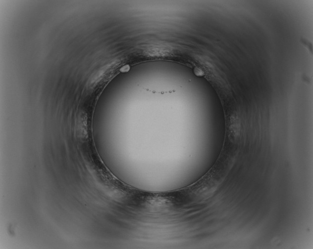 X0000103470547200809121630