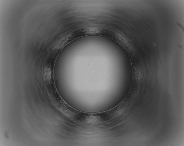 X0000103470549200809121630