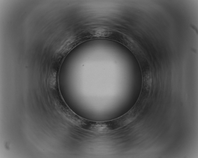 X0000103470554200809121630