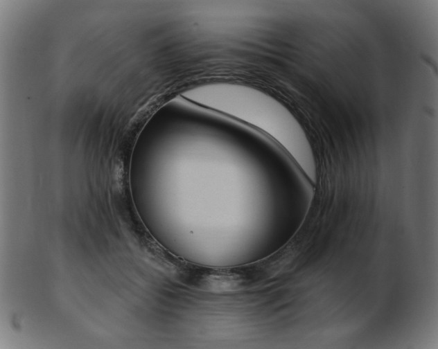 X0000103470556200809121630