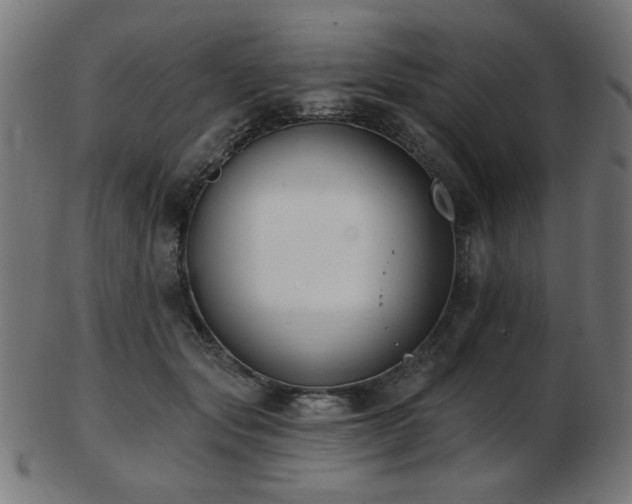 X0000103470557200809121630