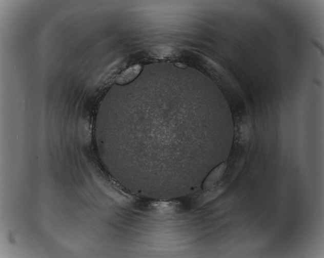 X0000103470558200809121630