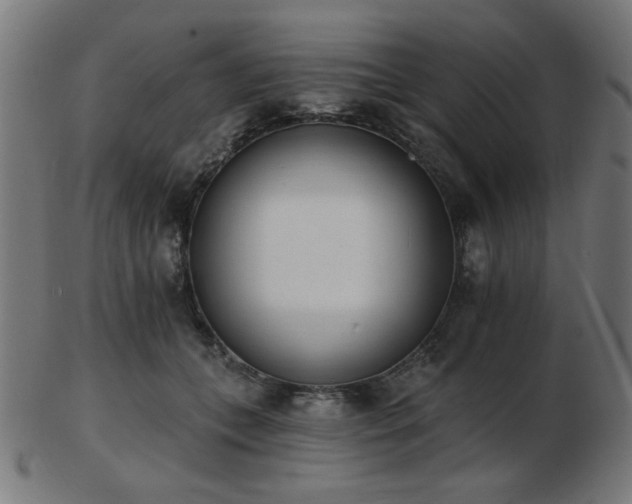 X0000103470559200809121630