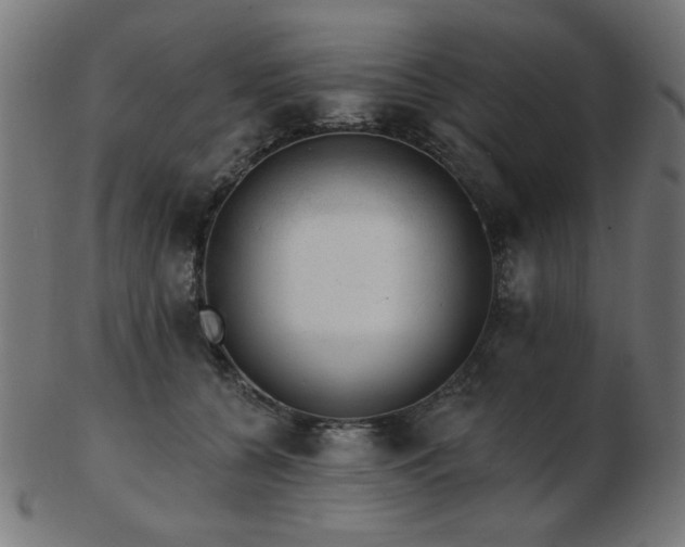 X0000103470560200809121630