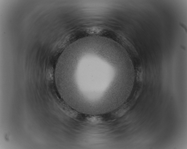 X0000103470561200809121630