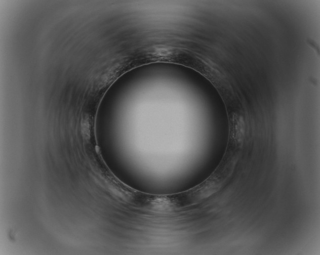 X0000103470562200809121630