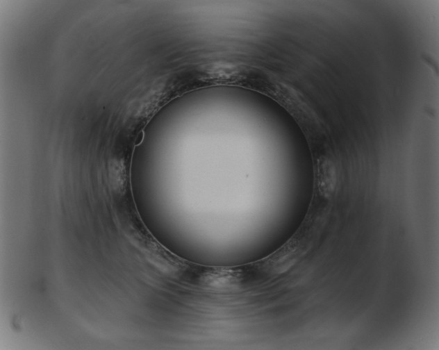 X0000103470563200809121630