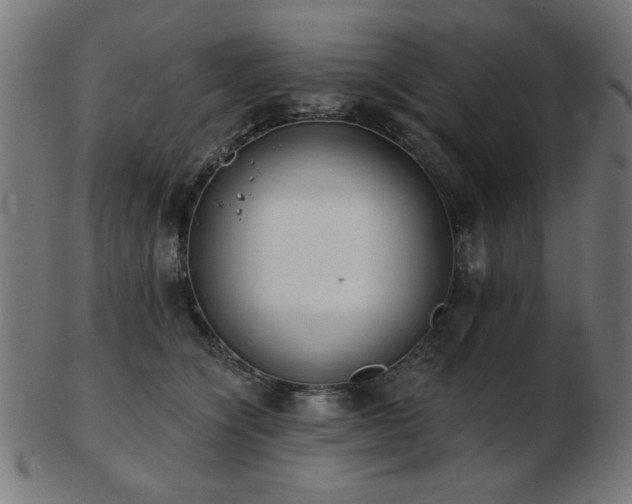 X0000103470564200809121630