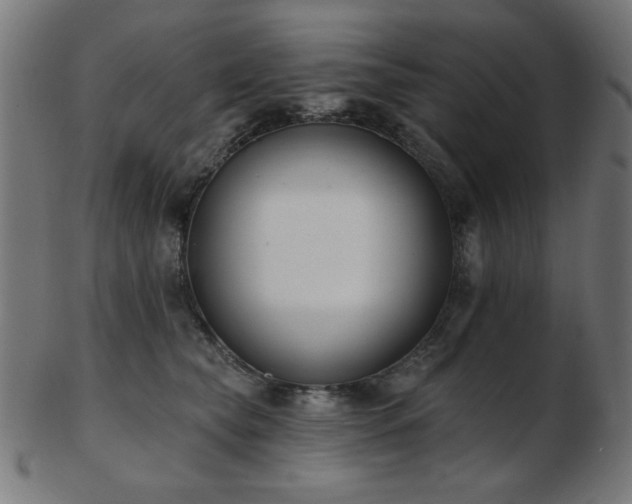 X0000103470565200809121630