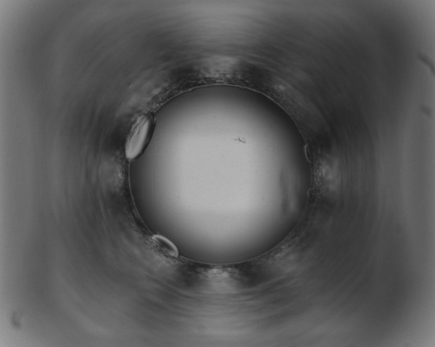 X0000103470566200809121630