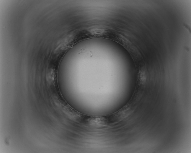 X0000103470567200809121630