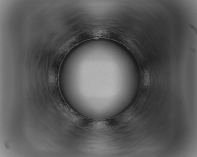 X0000103470569200809121631