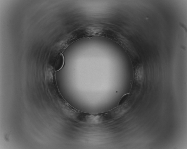 X0000103470570200809121631