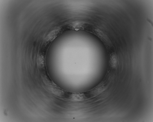 X0000103470571200809121631